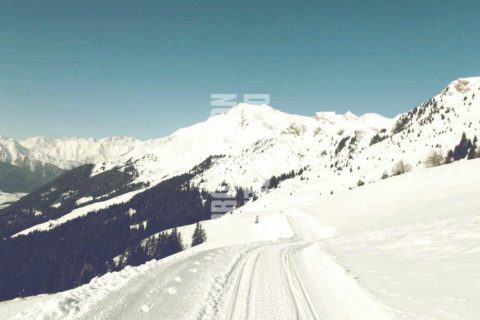 Alps in Winter